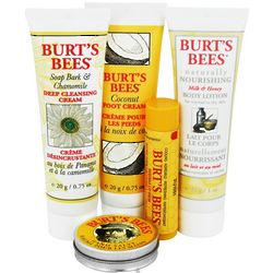 Burt's Bees Essential Skin Care Travel Kit