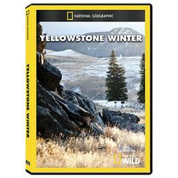 Yellowstone Winter DVD