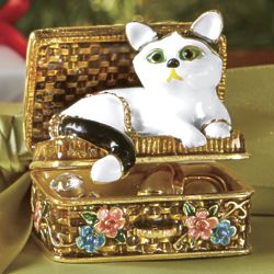 Jewelry Box with Cat Lid