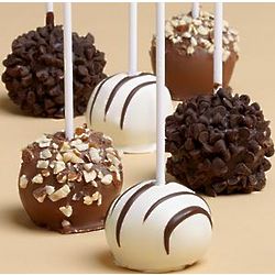 6 Fancy Chocolate Chip Covered Chocolate Cake Pops