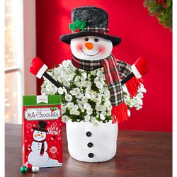 Frosty the Snow Plant with Chocolate and Candle