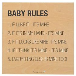 Baby Rules Wooden Wall Plaque