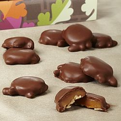 Fannie May Fall Pixies Chocolate Candy 1lb Box