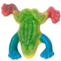 Gummy Tropical Frogs 2.2 Pounds
