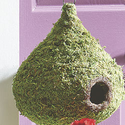 Super Moss Raindrop Birdhouse