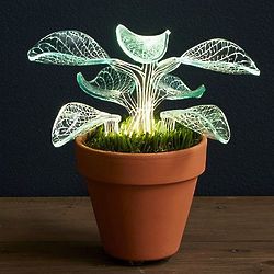 Let it Glow Plant Lamp