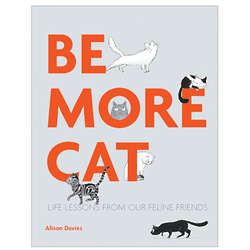 Be More Cat Book