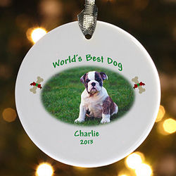 Our Favorite Pet Personalized Ornament