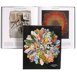 Plant: Exploring the Botanical World Book