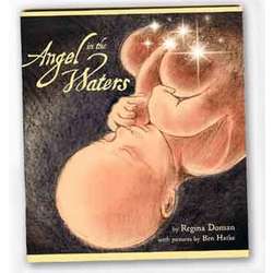 Angel in the Waters Book