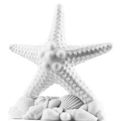 Pure White Beach Starfish Cake Topper