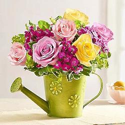 Garden Roses in Watering Can Planter