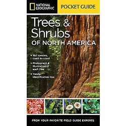 Pocket Guide to Trees and Shrubs of North America