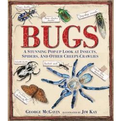 Bugs: A Stunning Pop-up Book