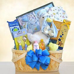 Baby Boy's Special Stork Delivery Gift Basket