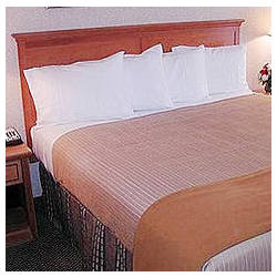 Holiday Inn ExpressÂ® Simply Smartâ„¢ Medium and Firm Pillow Combo