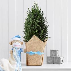 Deluxe Growing Tree for Baby Boy with Plush Sock Monkey