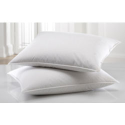 2 Touch of Down Standard Pillows