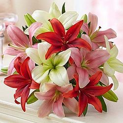 Valentine's Day Lilies Bouquet