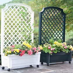 Planter with Trellis and Self-Watering Reservoir