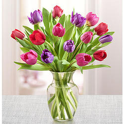 Tulips for Your Valentine Bouquet