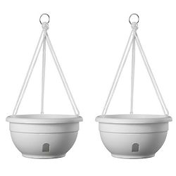2 Self-Watering Hanging Baskets