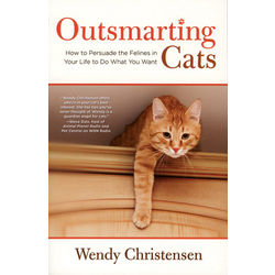 Outsmarting Cats Book