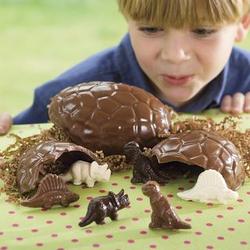 Edible Chocosaurus Chocolate Egg
