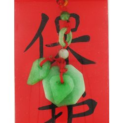 Feng Shui Jade Protection Bagwa Luck Charm