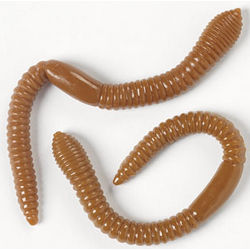 Realistic Gummy Earthworms