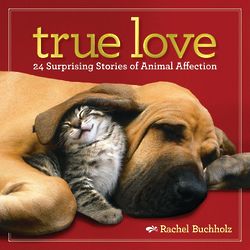 True Love Animal Affection Book