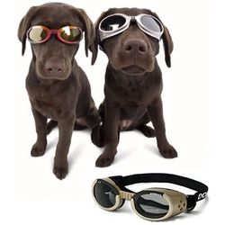 Doggles Ils Protective Eyewear for Dogs
