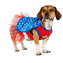Superhero Girl Dog Costume