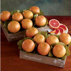 Two Trays of Red Grapefruit Gift Box