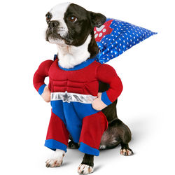 Superhero Boy Medium Sized Dog Costume