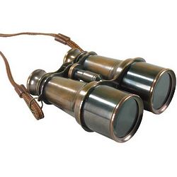 Bronze Victorian Binoculars