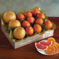One Tray of HoneyBells and Red Grapefruit
