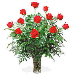 America's Favorite Dozen Roses in Vase