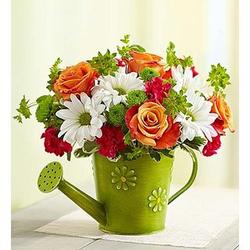 Showers of Flowers in Watering Can Vase