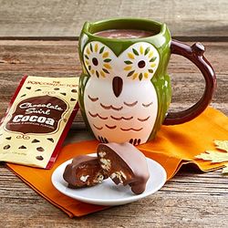 Owl Mug and Cocoa