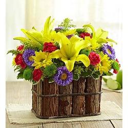 Suddenly Spring Bouquet in Bark Container