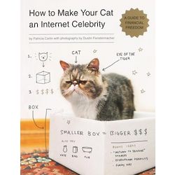 How to Make Your Cat an Internet Celebrity Book
