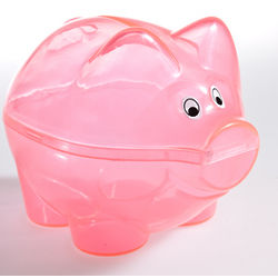 Mini Pink Piggy Bank