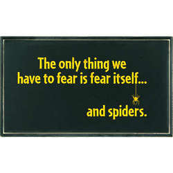 The Only Thing We Have To Fear Is Fear Itself and Spiders Plaque