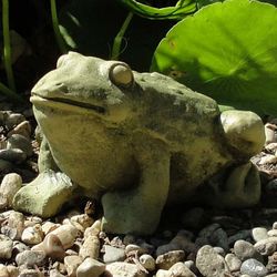 6" Cast Stone Wide-Eyed Frog Statue