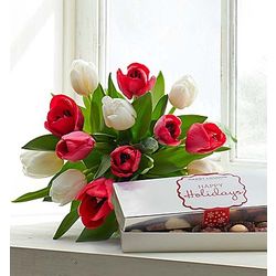 Red and White Holiday Tulips