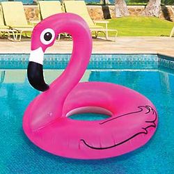 Fabulous Flamingo Ring Float