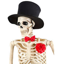 Halloween Skeleton Dress Up Kit