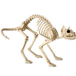 Skeleton Cat Halloween Decor