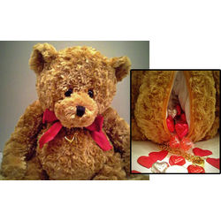 Bear My Secrets Valentine Teddy Bear